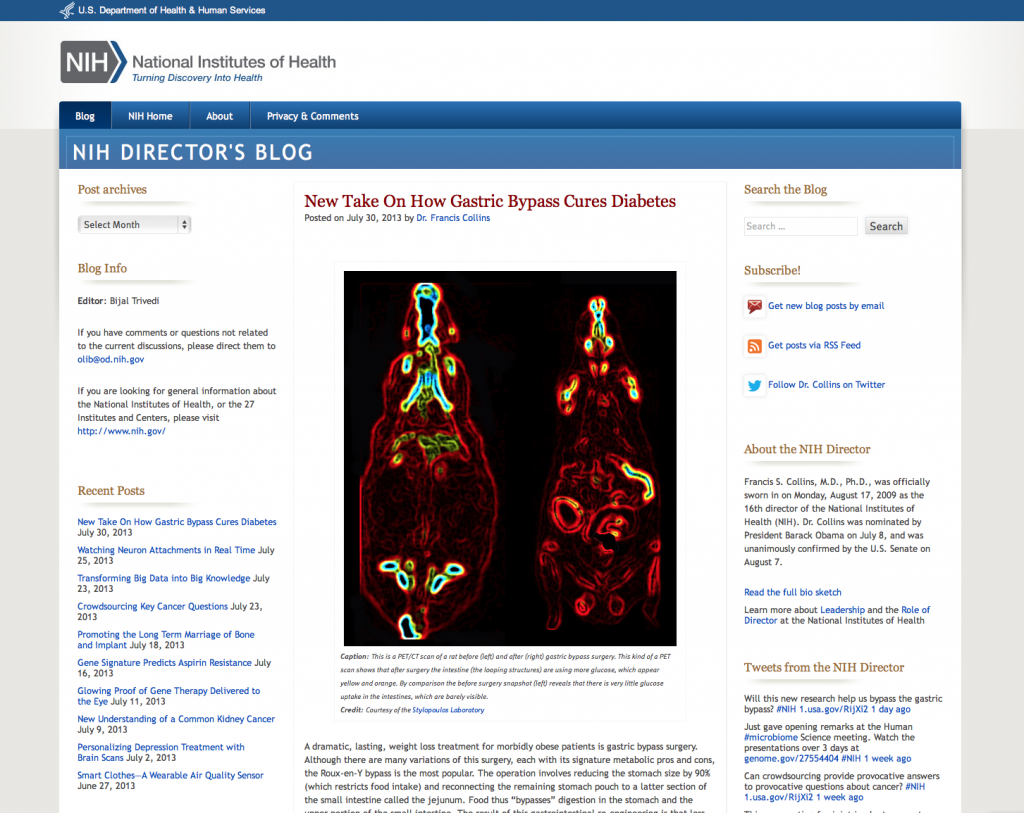 After: NIH Director's Blog with customized CSS