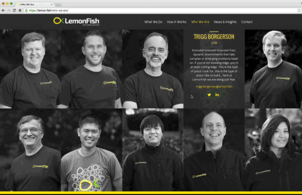 Design and movement on LemonFish's website which was built by Crowd Favorite
