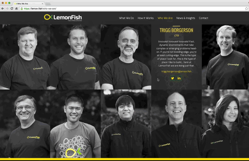 LemonFish Who We Are