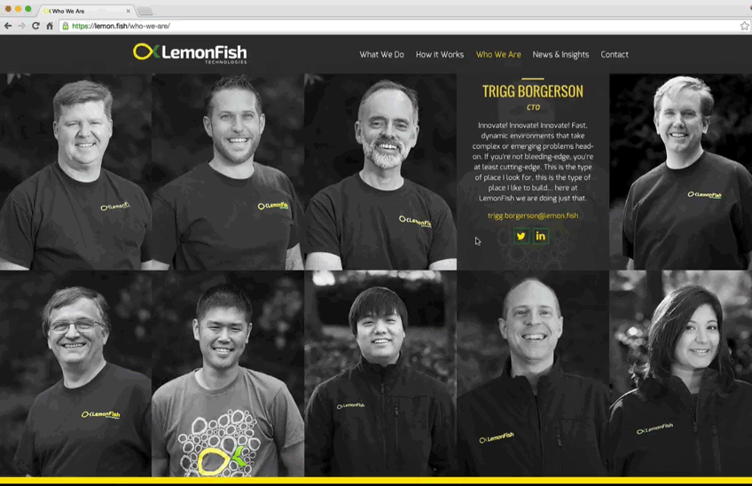 LemonFish-WhoWeAre2