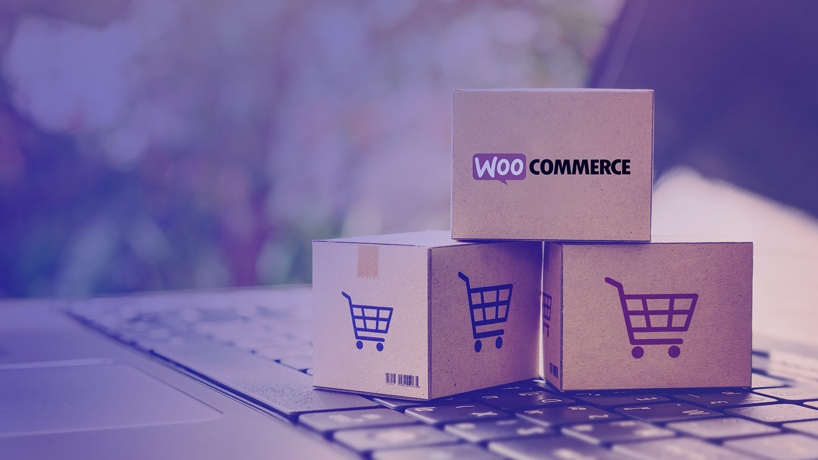 Scaling WooCommerce