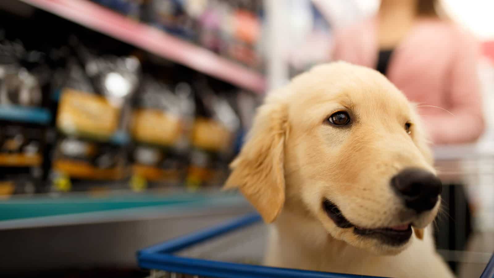 Zuki Petshop user centric design
