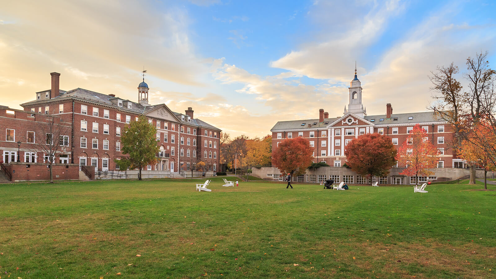 Ivy League Business School Website Accessibility Case Study