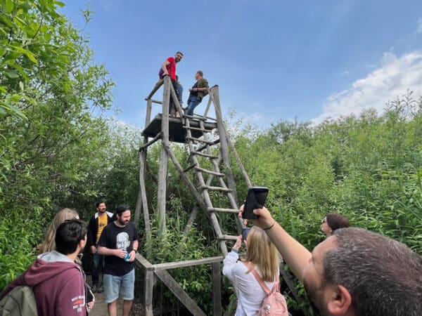 Checking out the observation tower during the company hike after a long day of Favcreate